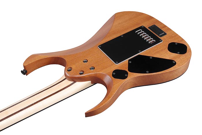 Back of the RGDR4527ET-NTF's body