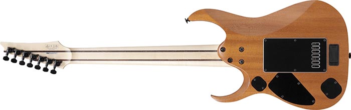 Entire back of the RGDR4527ET-NTF