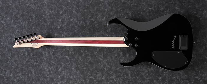 Entire back of the RGIB21-BK