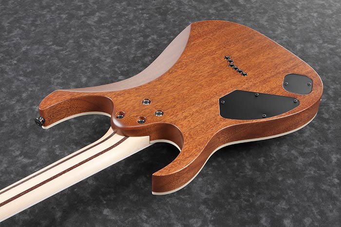 Back of the RGR5221-TFR's body