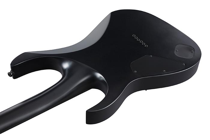 Back of the RGRTB621-BKF's body