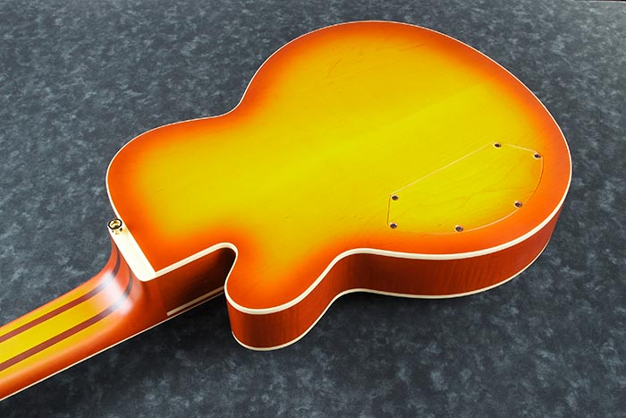 Back of the TCB1006-ALM's body