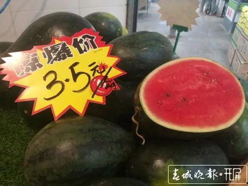 吃料黑瓜官网,解锁美食新体验