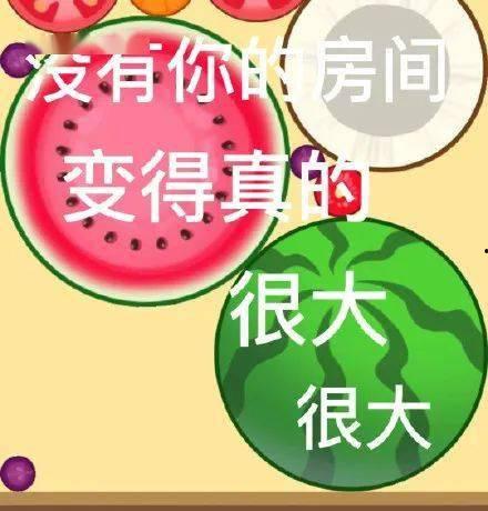今日必吃大瓜每日更新51期,揭秘娱乐圈最新热点，每日新鲜资讯盘点