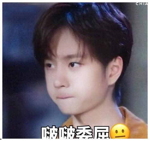 王一博今日吃瓜视频,揭秘娱乐圈幕后真相