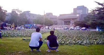 四川今日吃瓜事件真相是真的吗,事实与谣言的较量