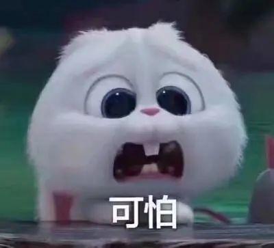 南宁今日吃瓜事件真相揭秘,真相大白，还原事件始末